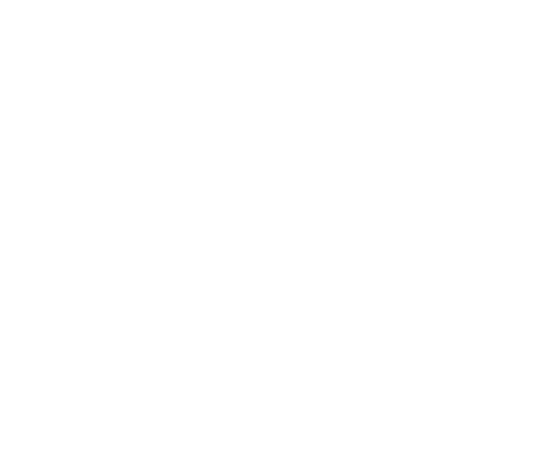 Fresh N Spicy